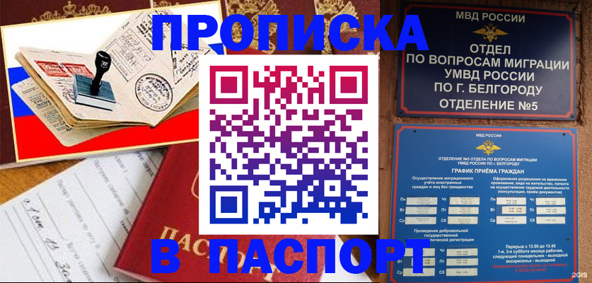 купить прописку в Ковылкино